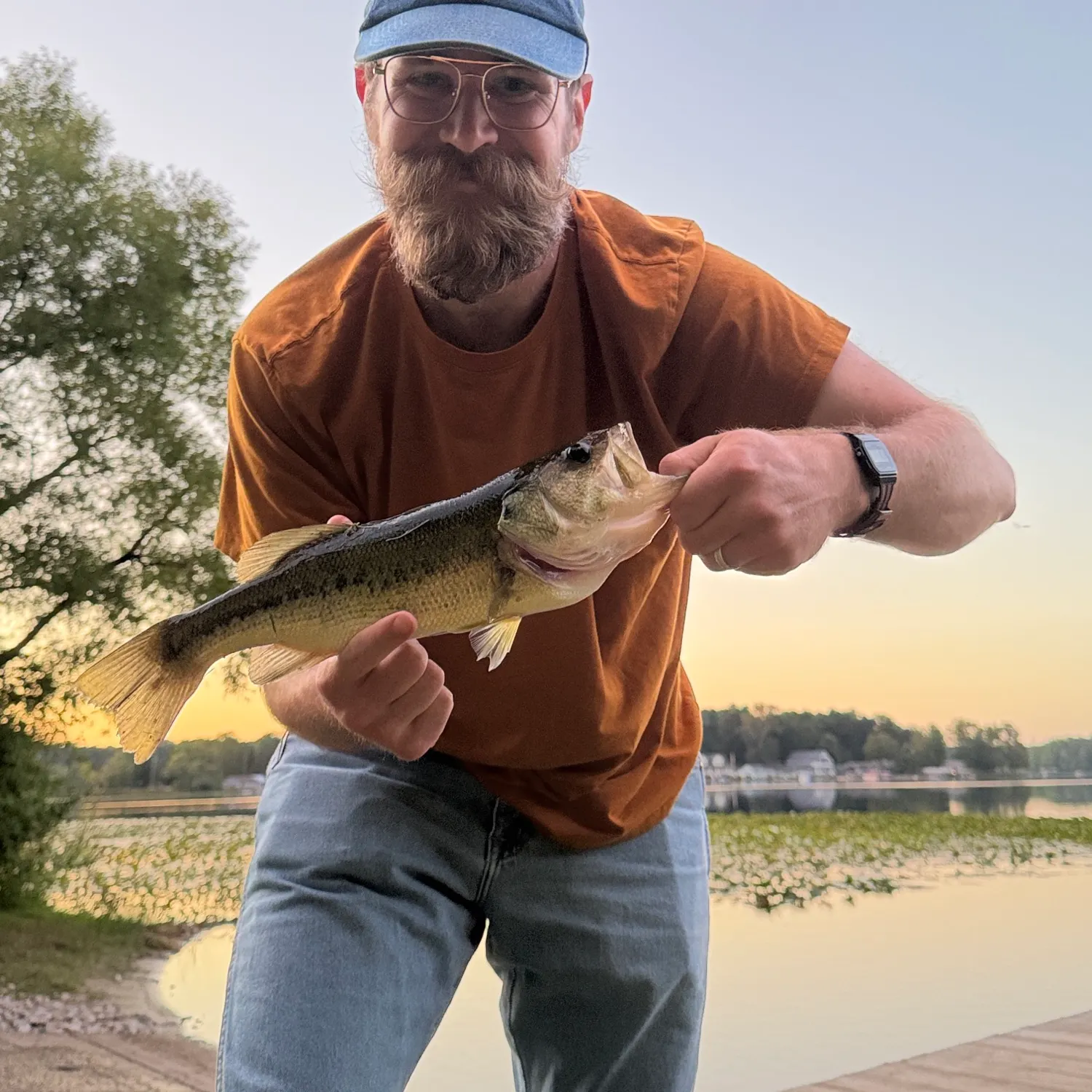 Largemouth bass caught on Fishbrain