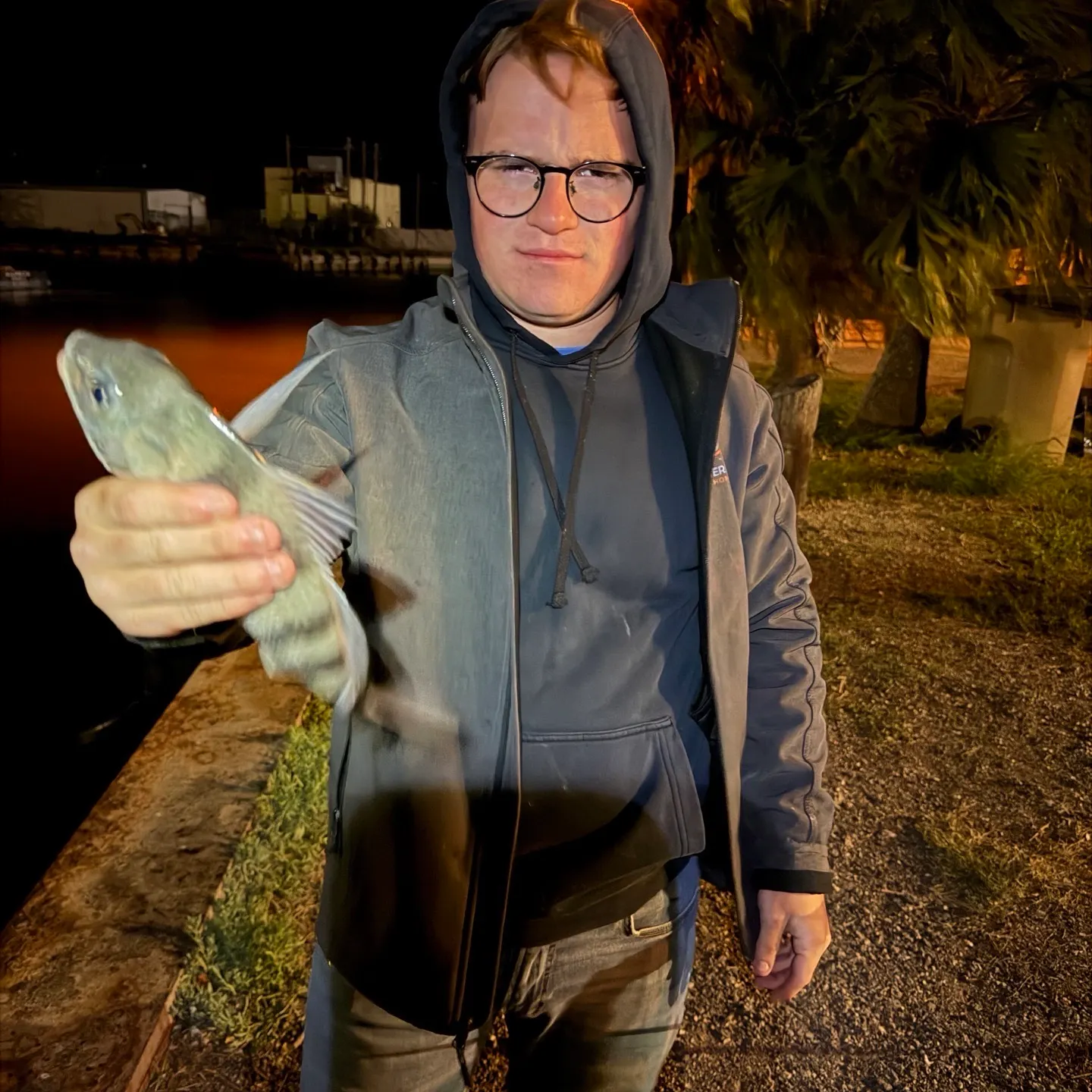 Black drum caught on Fishbrain