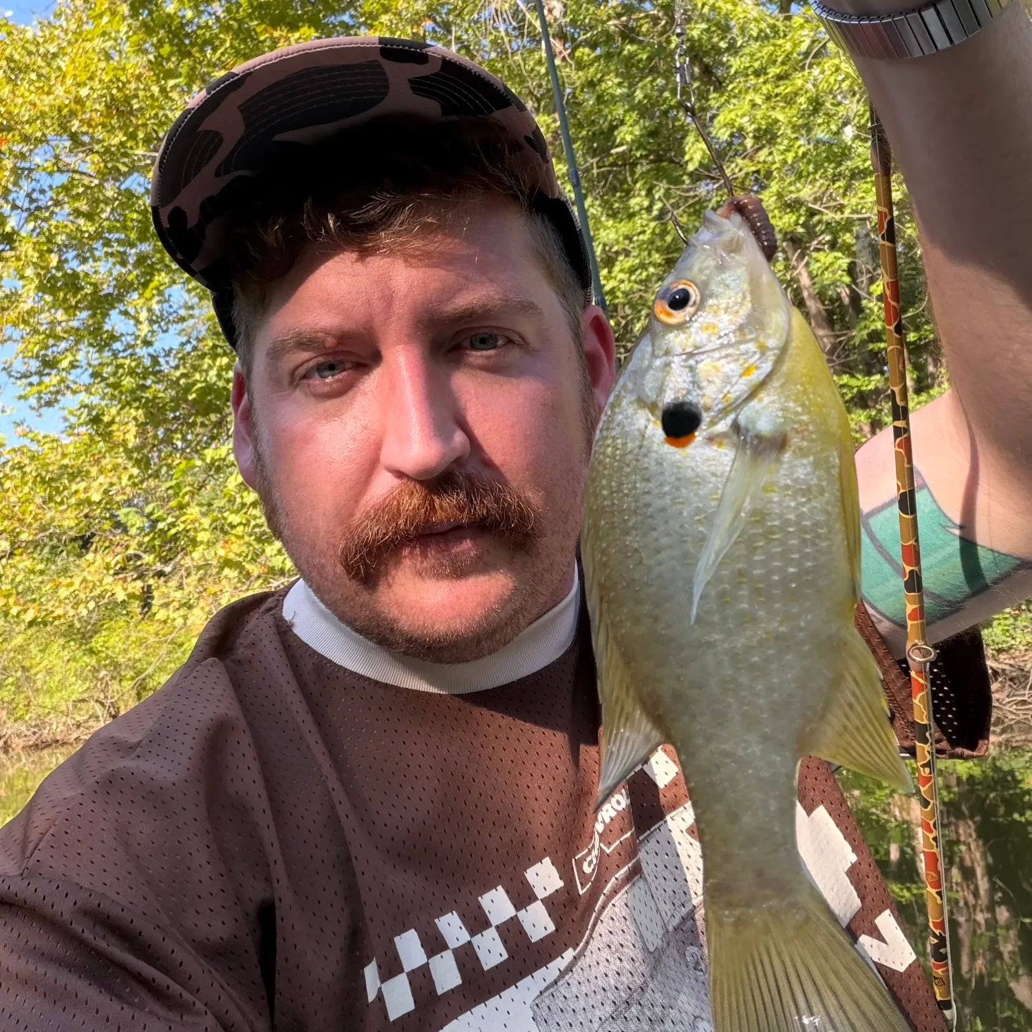 Redear sunfish caught on Fishbrain