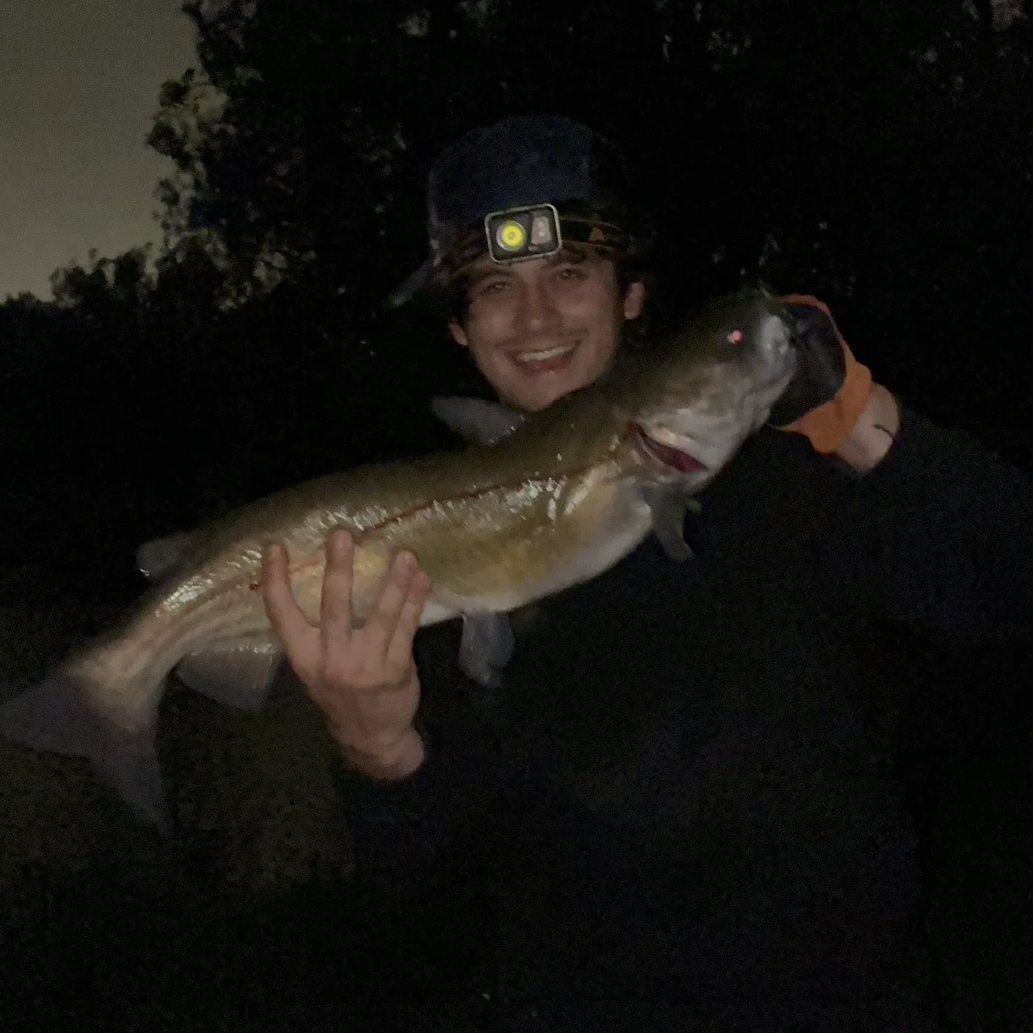Channel catfish caught on Fishbrain