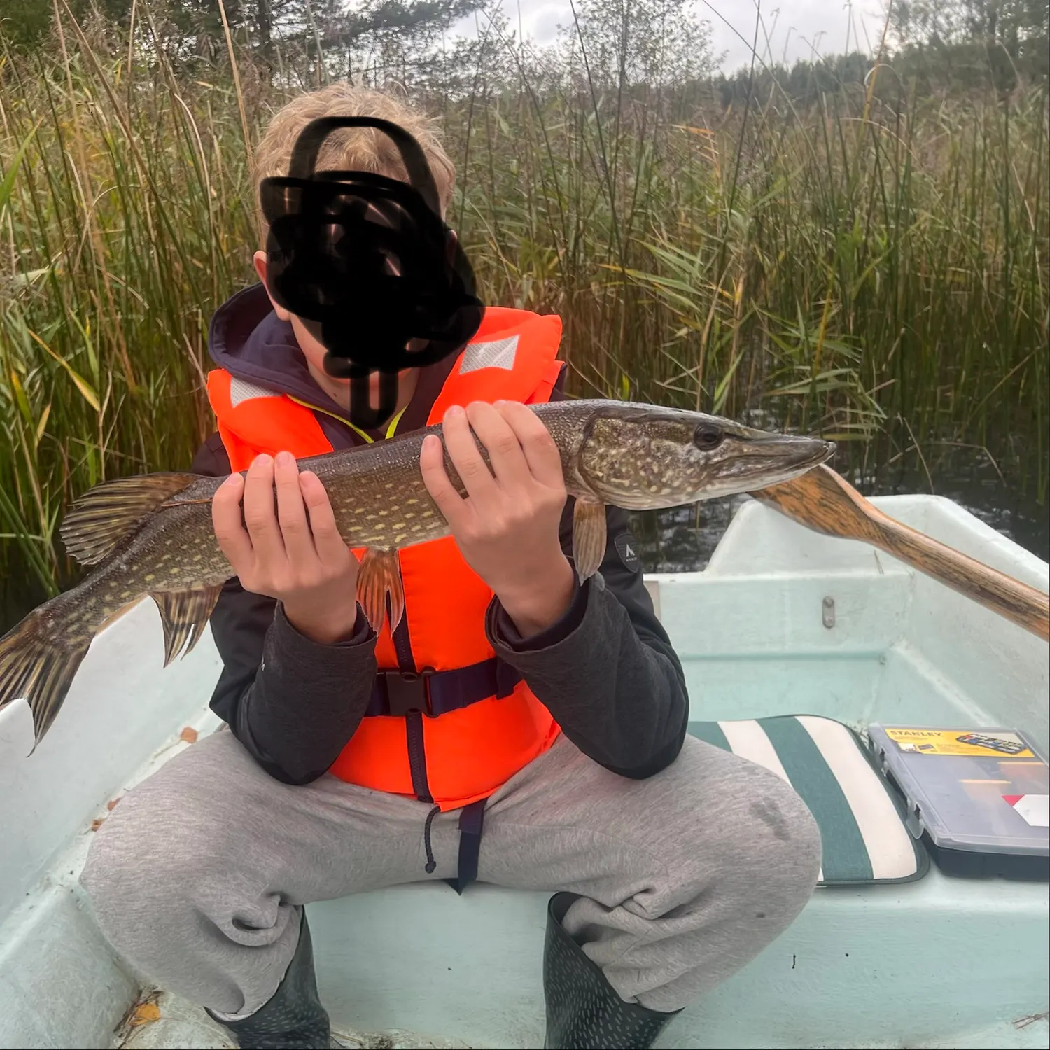 Northern pike caught on Fishbrain