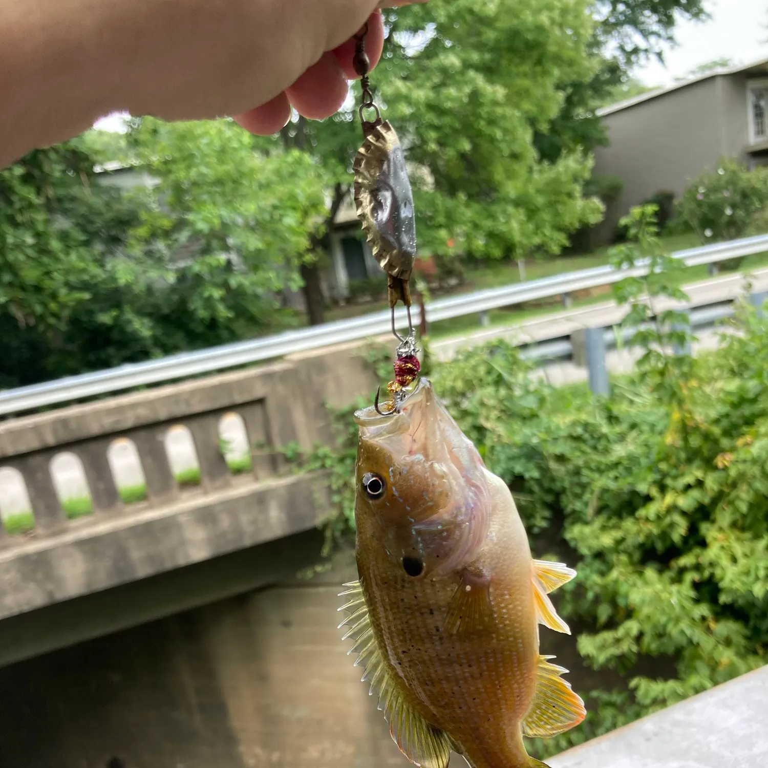 catch