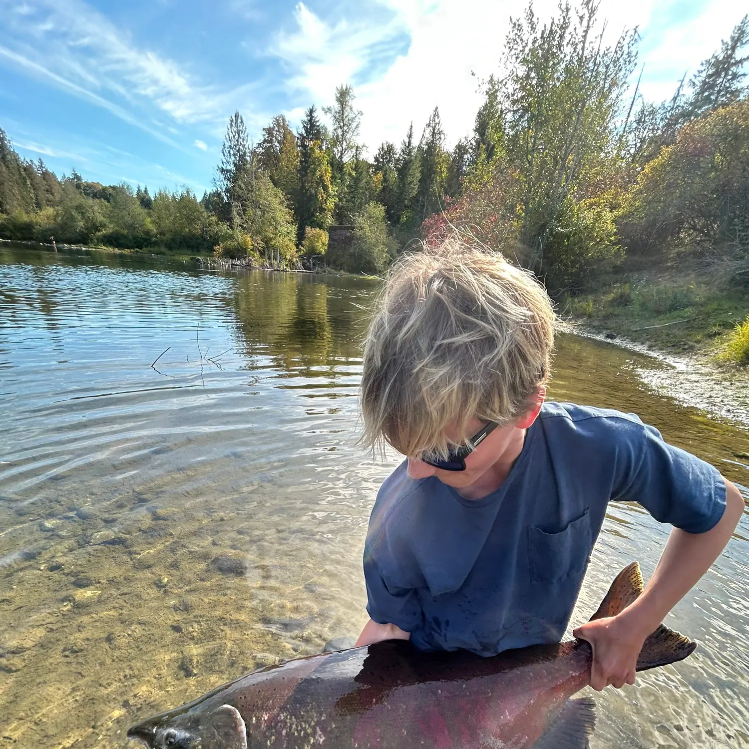 Chinook salmon caught on Fishbrain