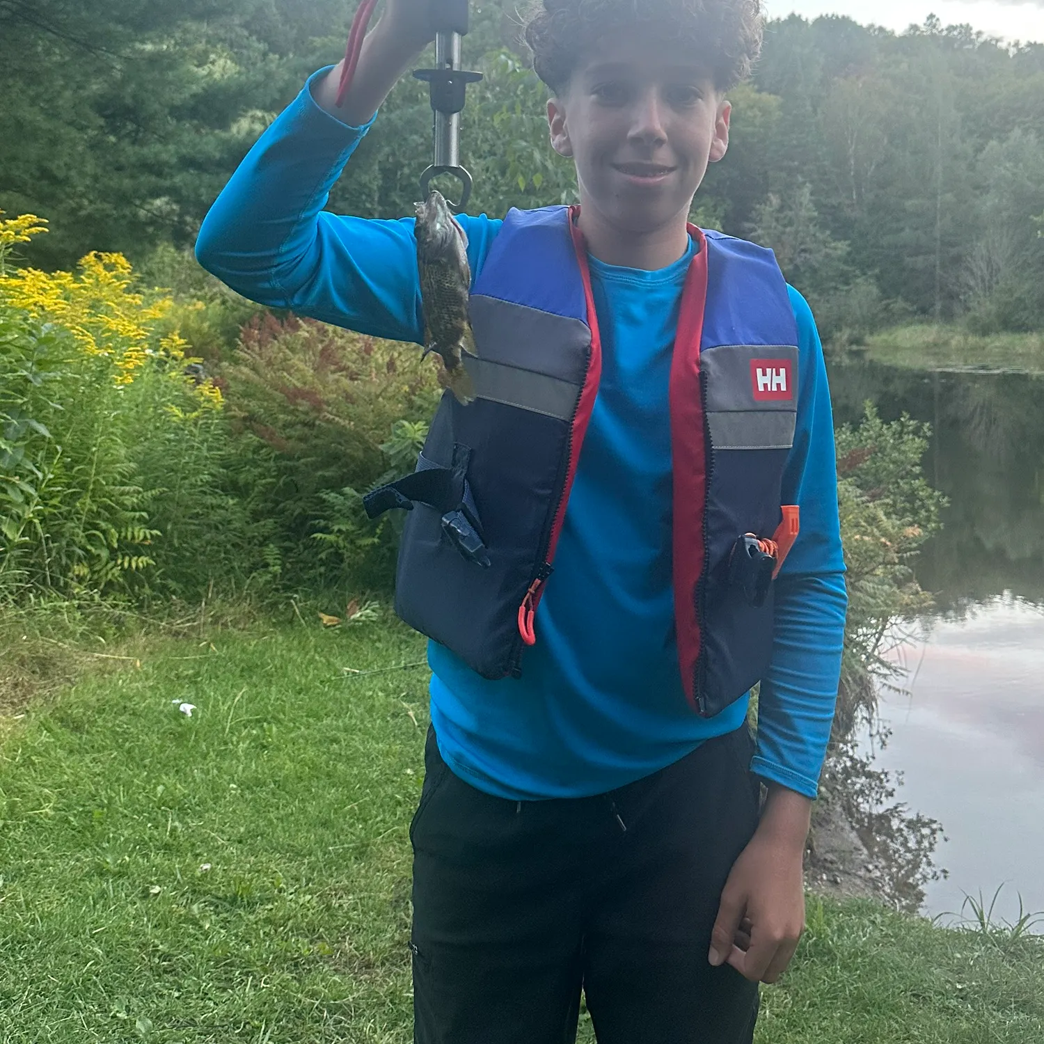 Rock bass caught on Fishbrain