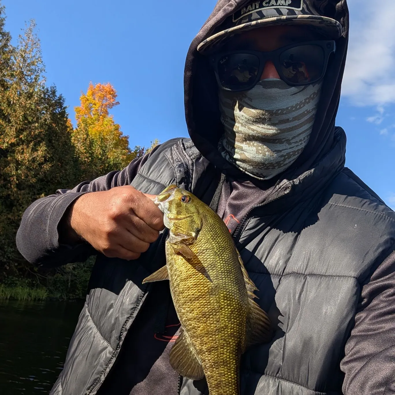 Smallmouth bass caught on Fishbrain