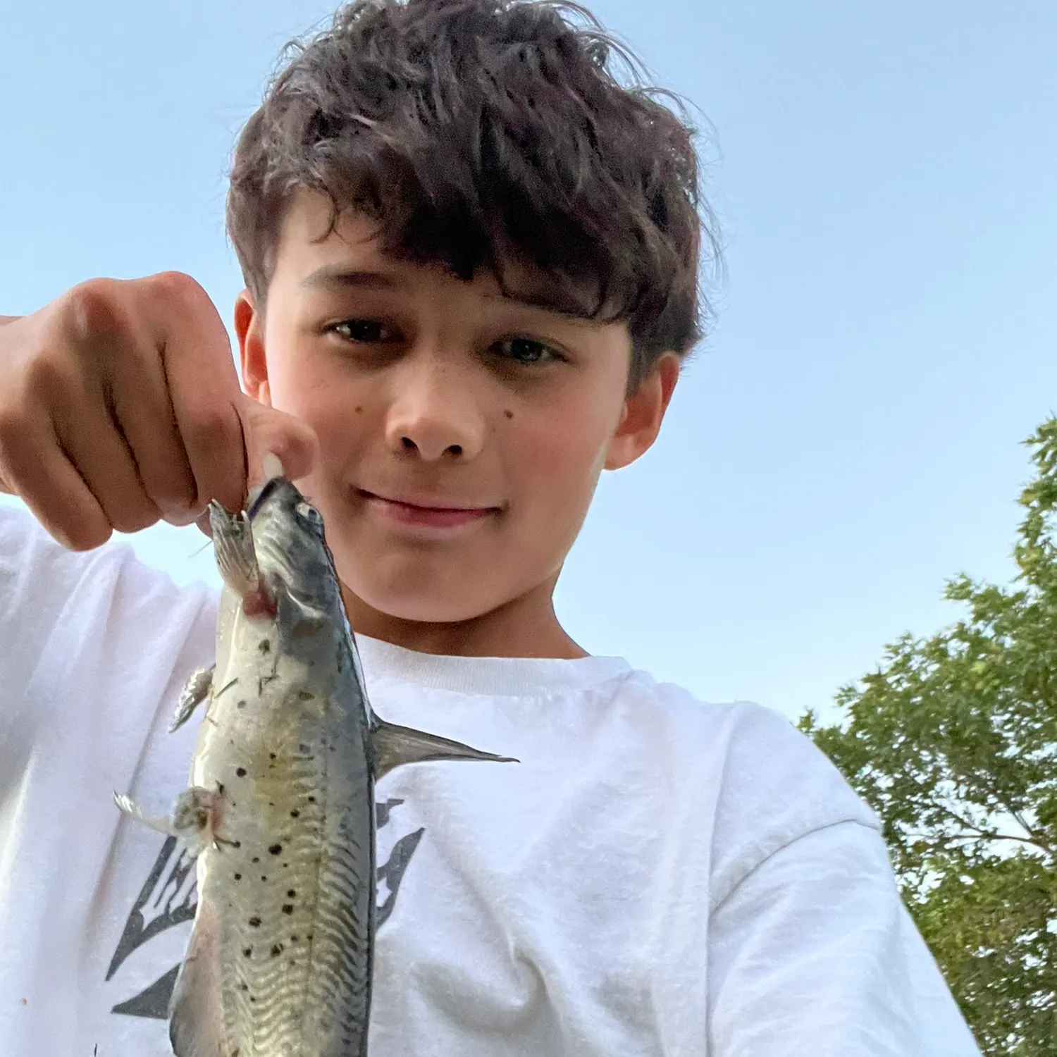 Channel catfish caught on Fishbrain