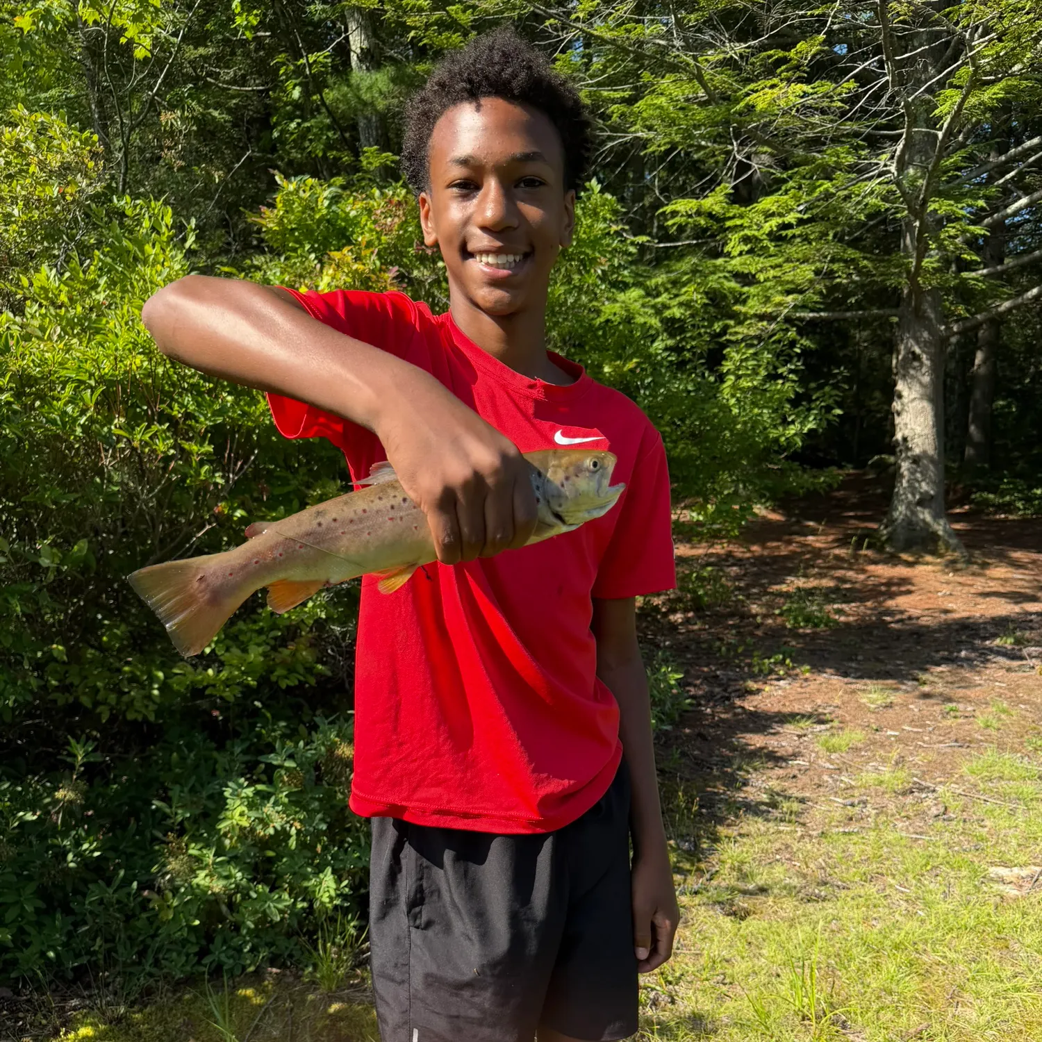 Brown trout caught on Fishbrain