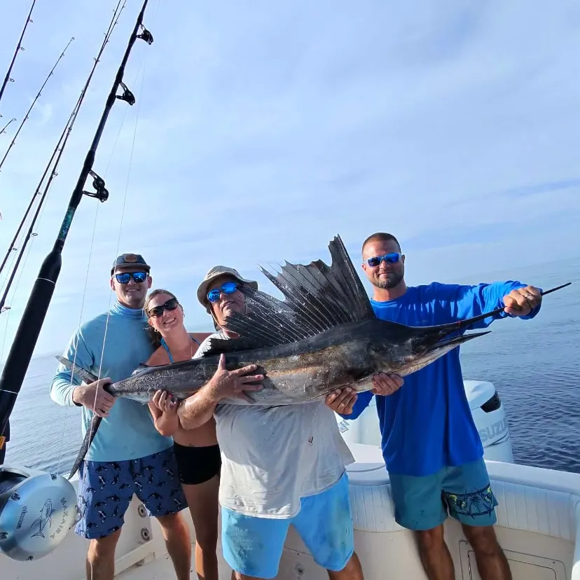 Atlantic sailfish caught on Fishbrain