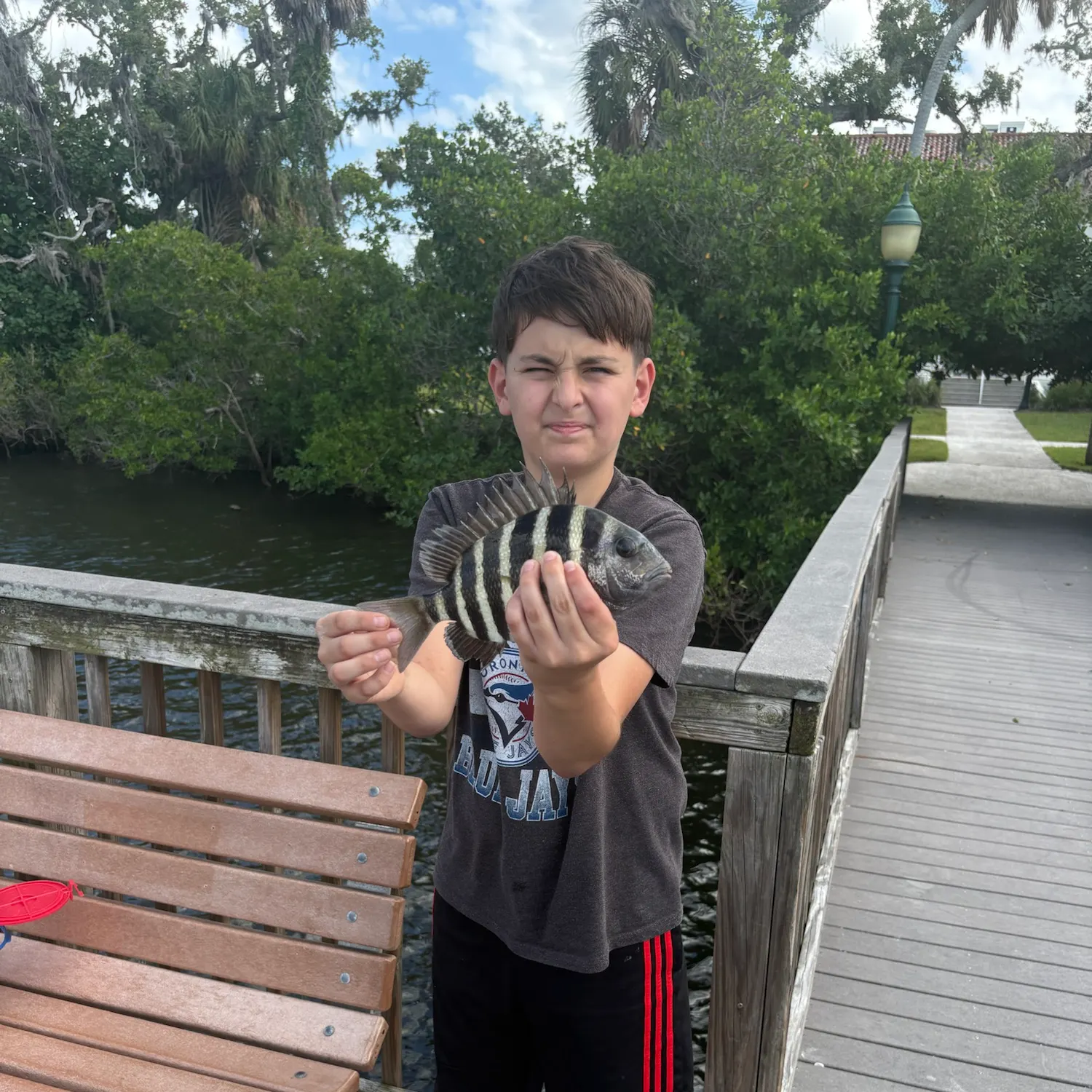 The most recent Sheepshead catches on Fishbrain