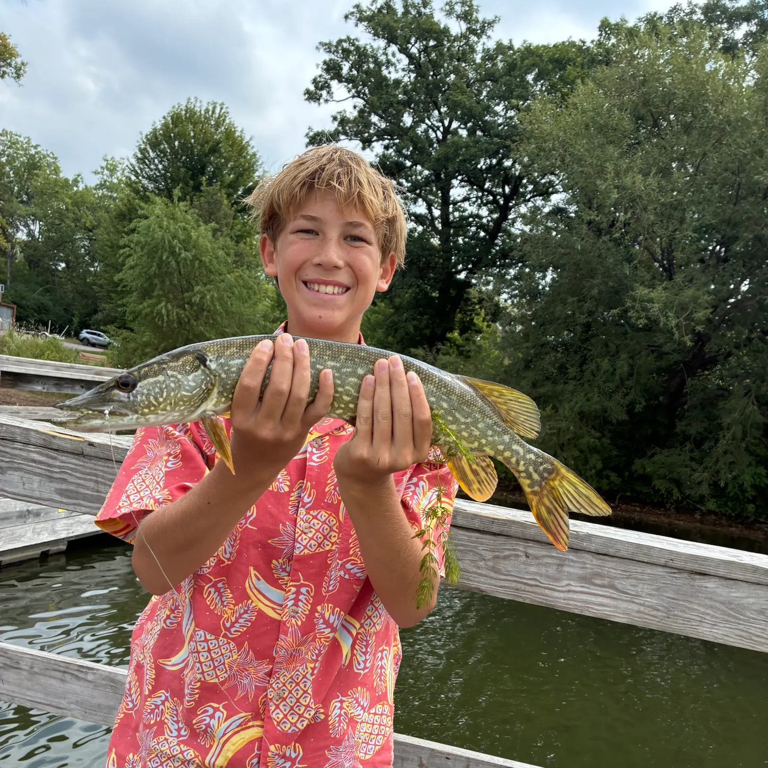 Northern pike caught on Fishbrain