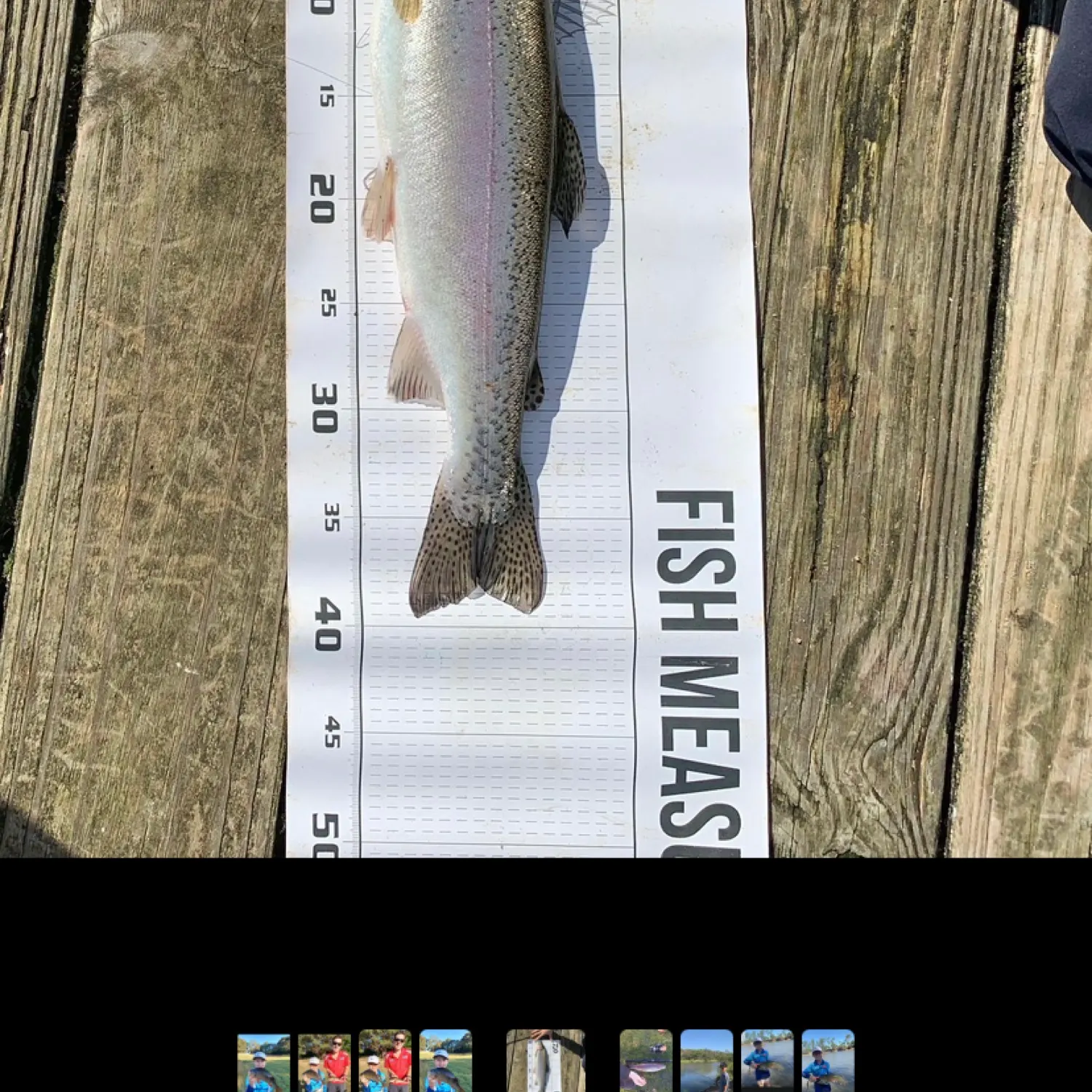 recently logged catches