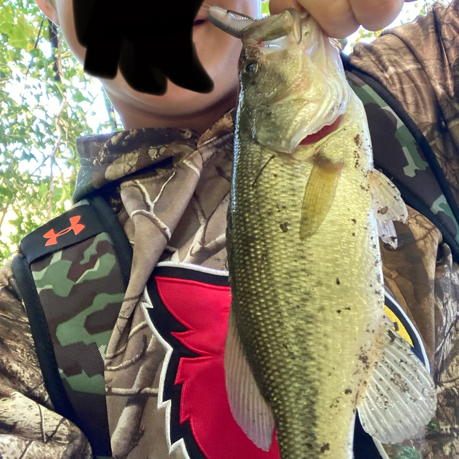 Largemouth bass caught on Fishbrain