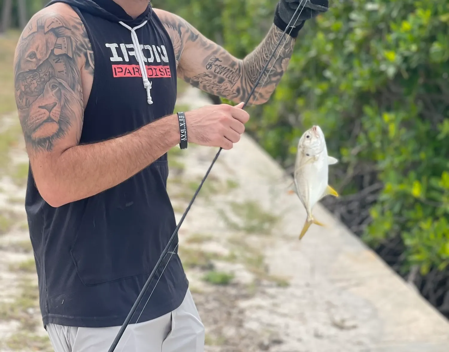 Southern pompano