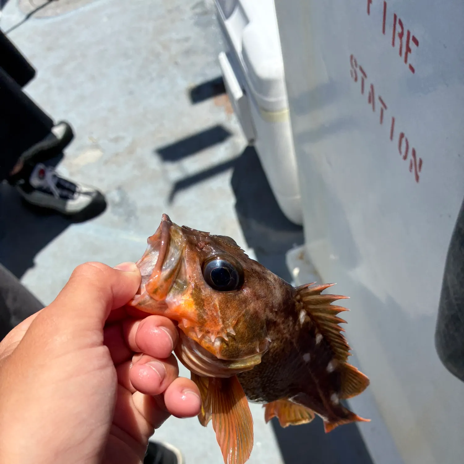 catch