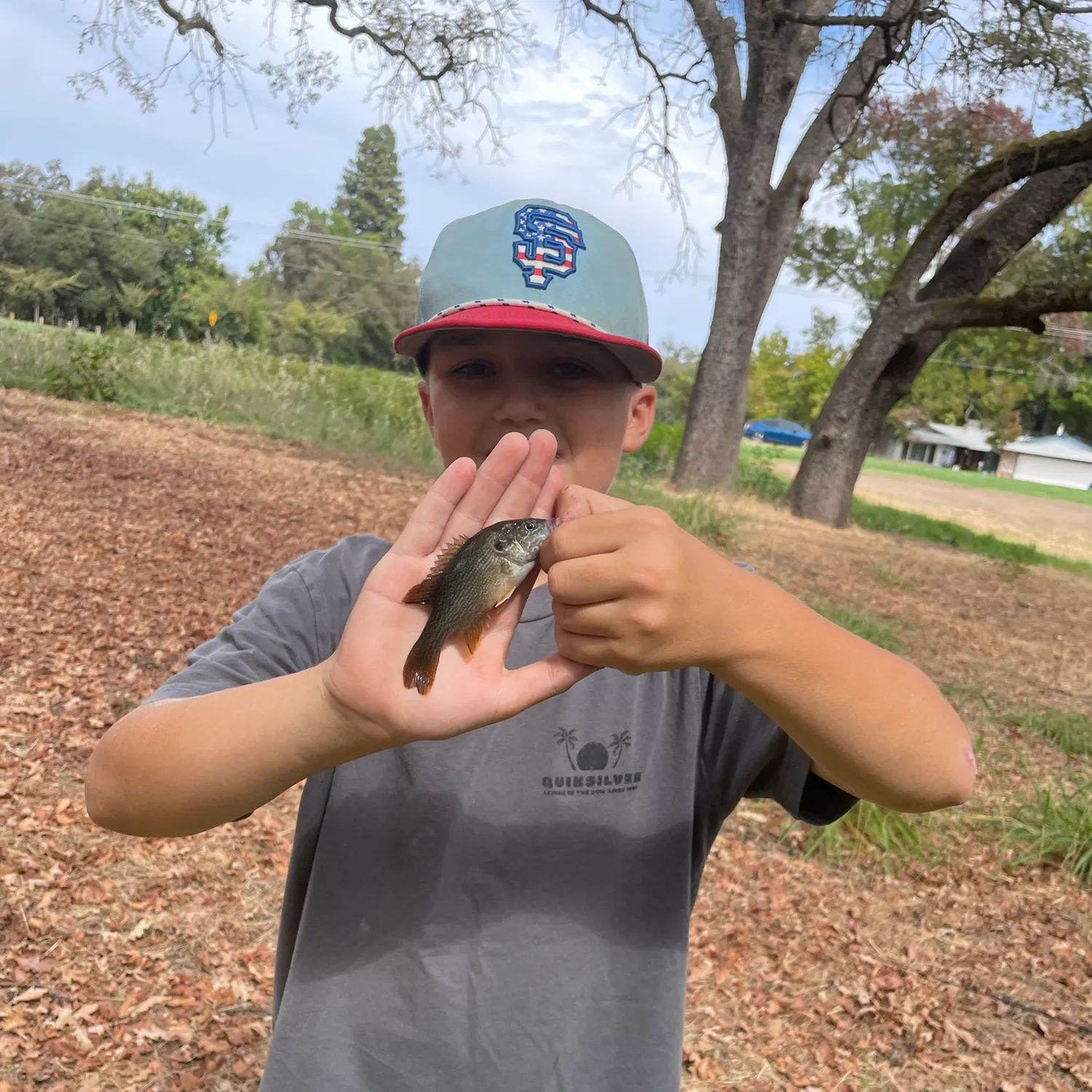 The most recent Redbreast tilapia catches on Fishbrain