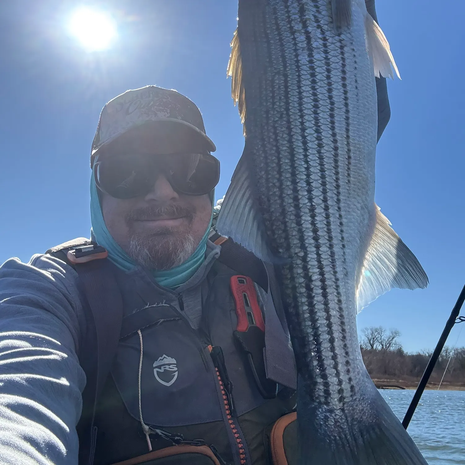 The most recent Striped bass catches on Fishbrain