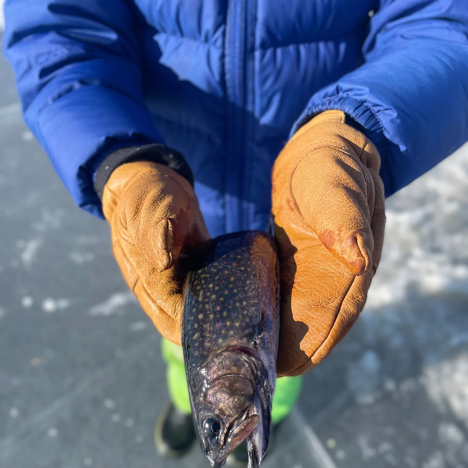 catch