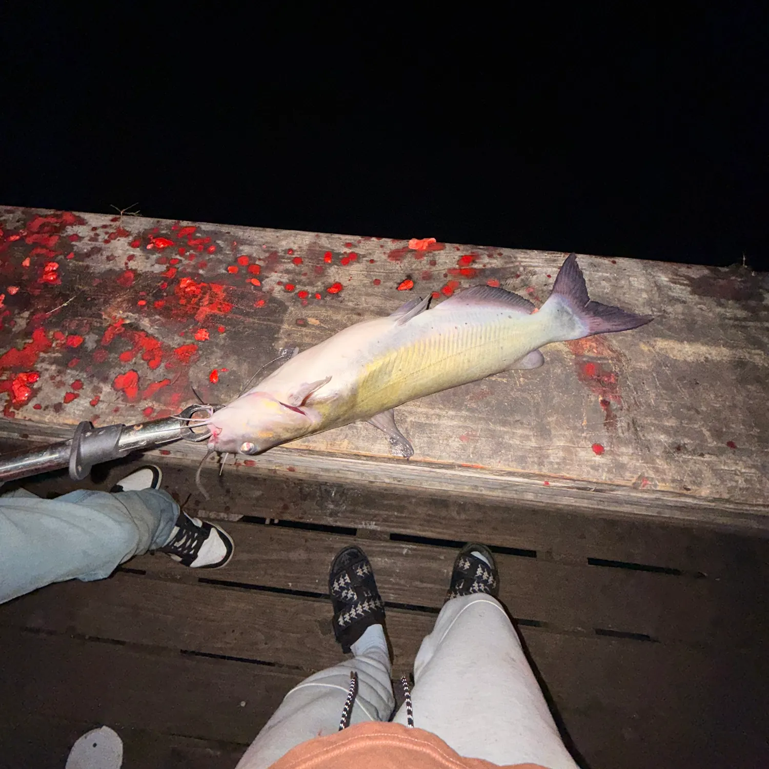 catch