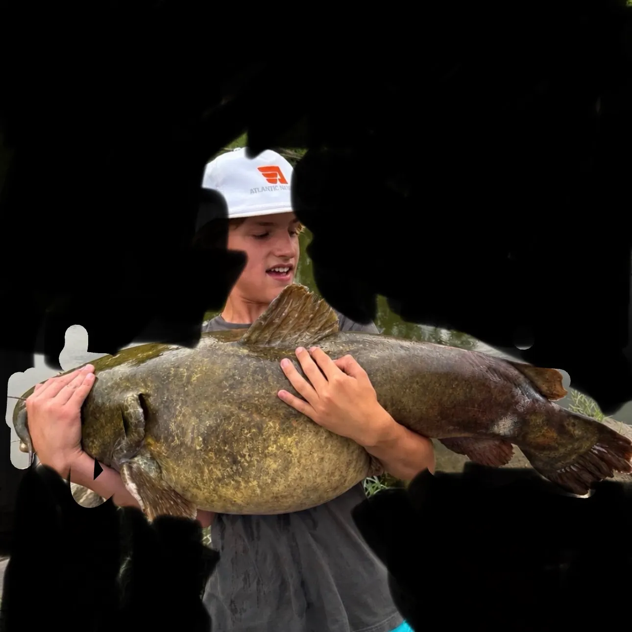 Flathead catfish caught on Fishbrain