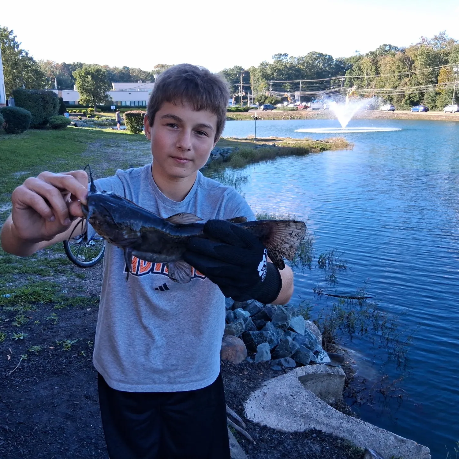 Channel catfish caught on Fishbrain