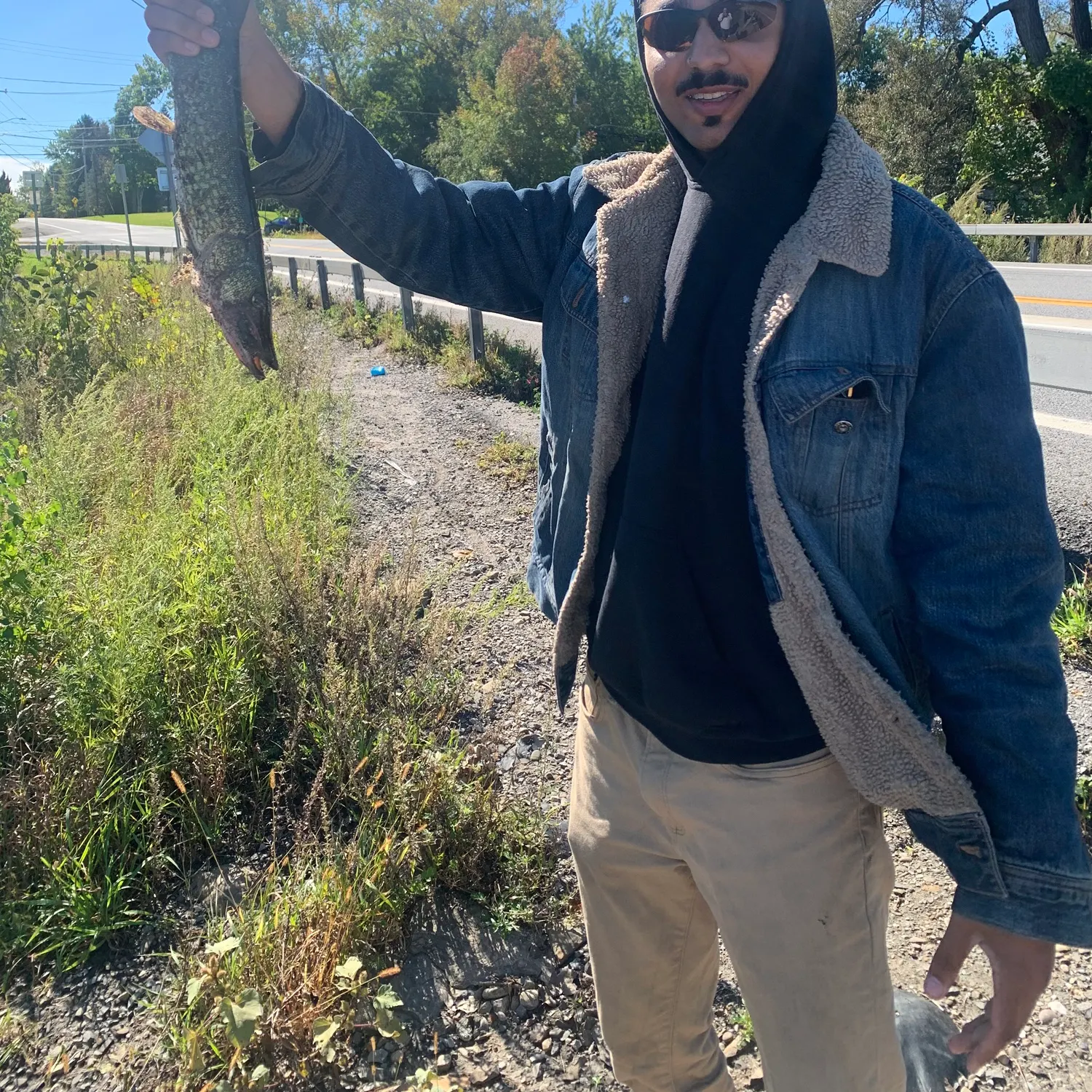 Chain pickerel caught on Fishbrain