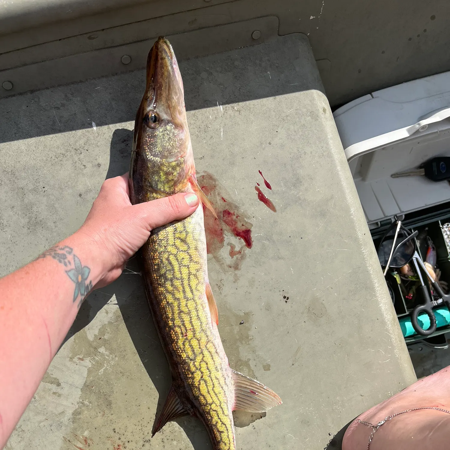 catch