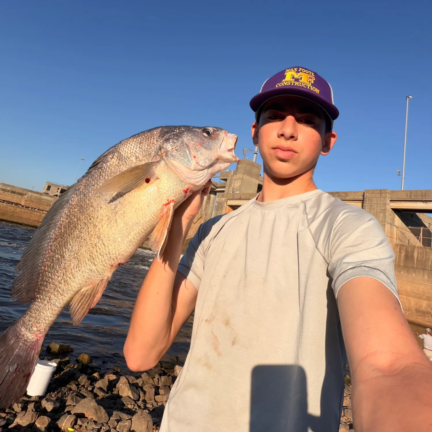Freshwater drum caught on Fishbrain
