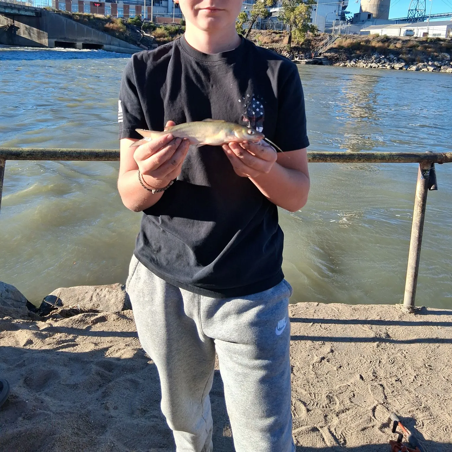Channel catfish caught on Fishbrain