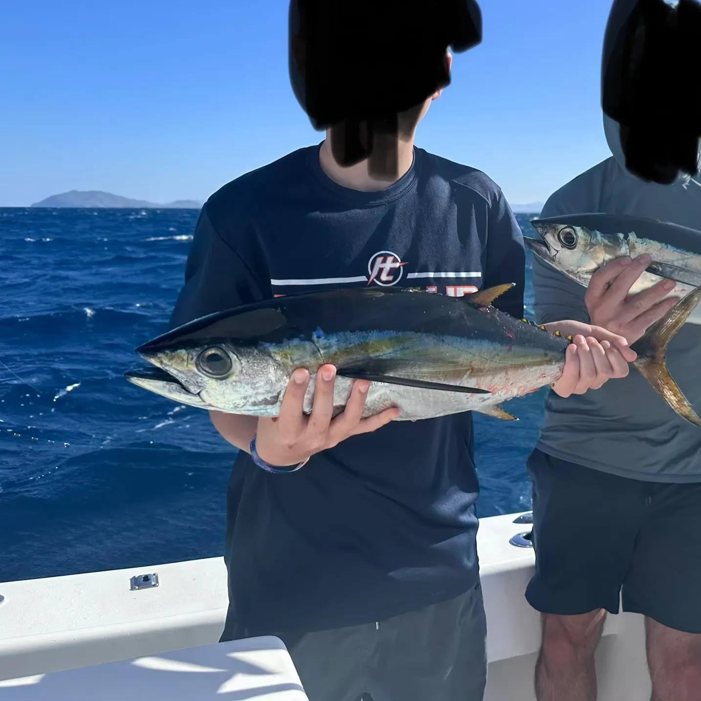 The most recent Yellowfin tuna catches on Fishbrain