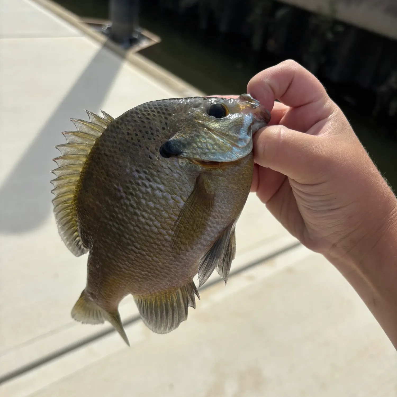catch