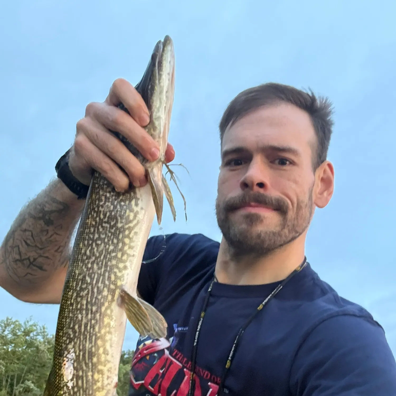 Northern pike caught on Fishbrain