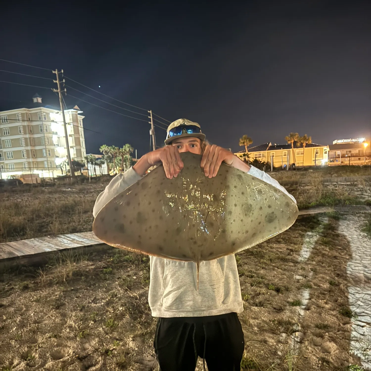 The most recent Australian butterfly ray catches on Fishbrain