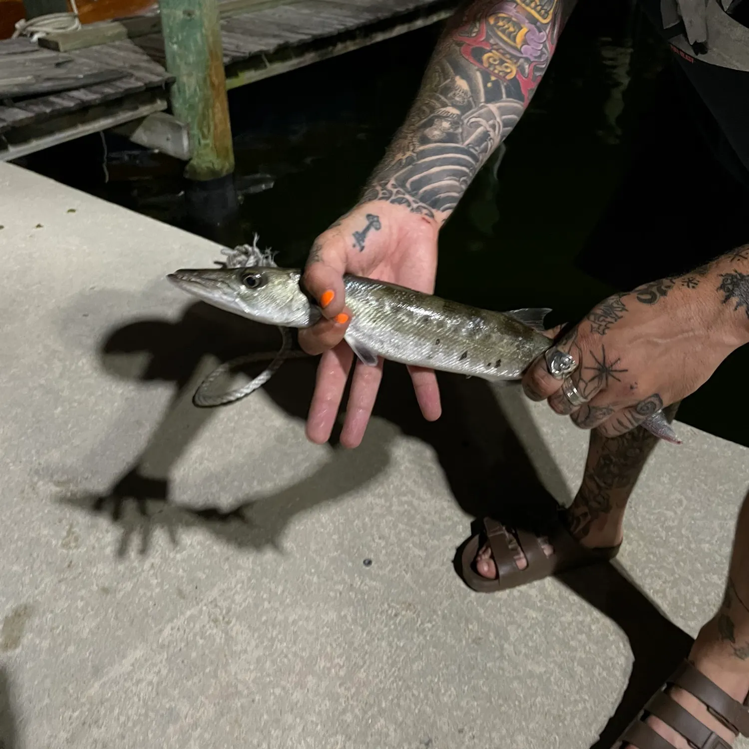 recently logged catches