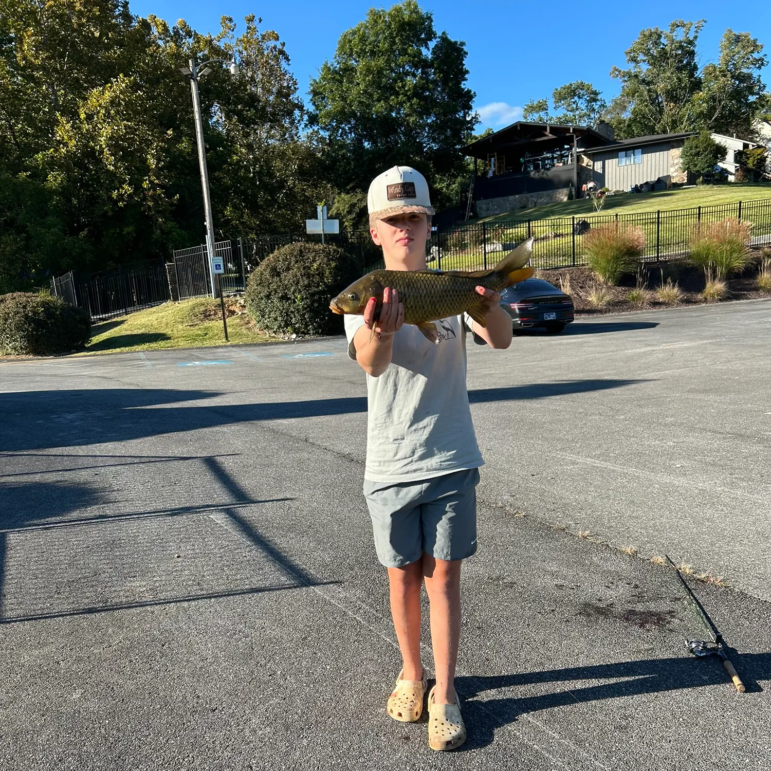 Common carp caught on Fishbrain