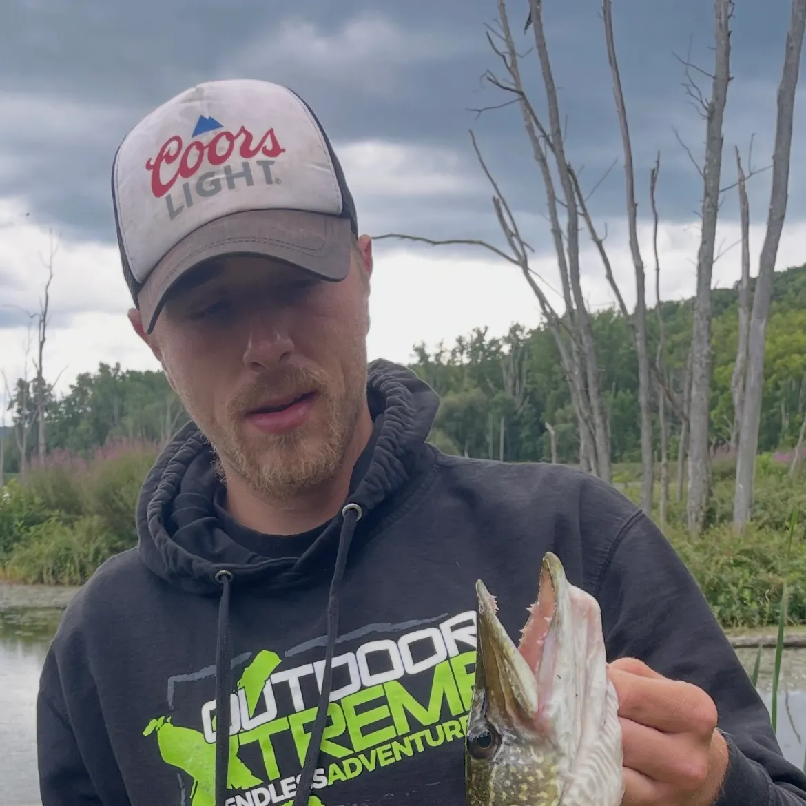 Northern pike caught on Fishbrain
