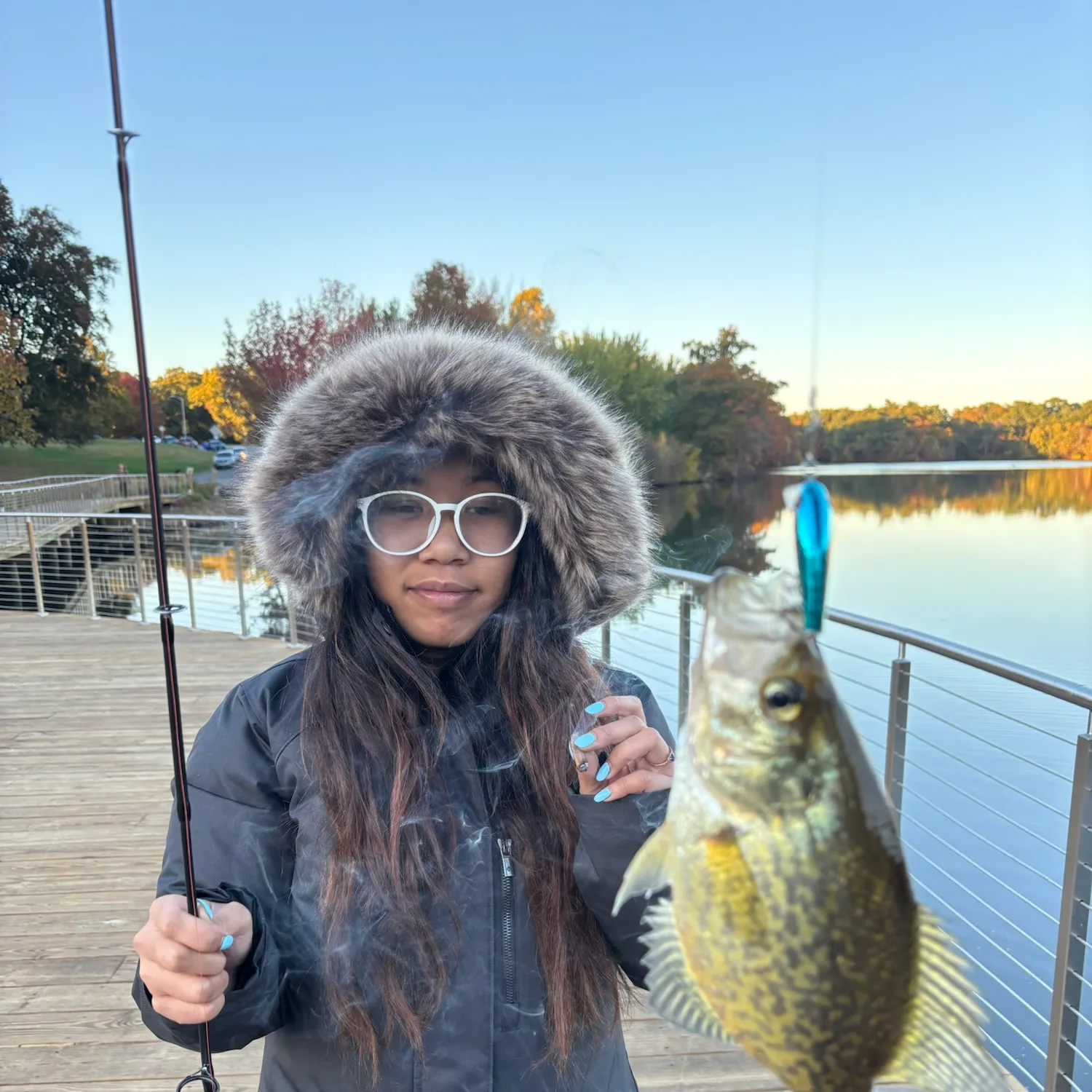 Black crappie caught on Fishbrain