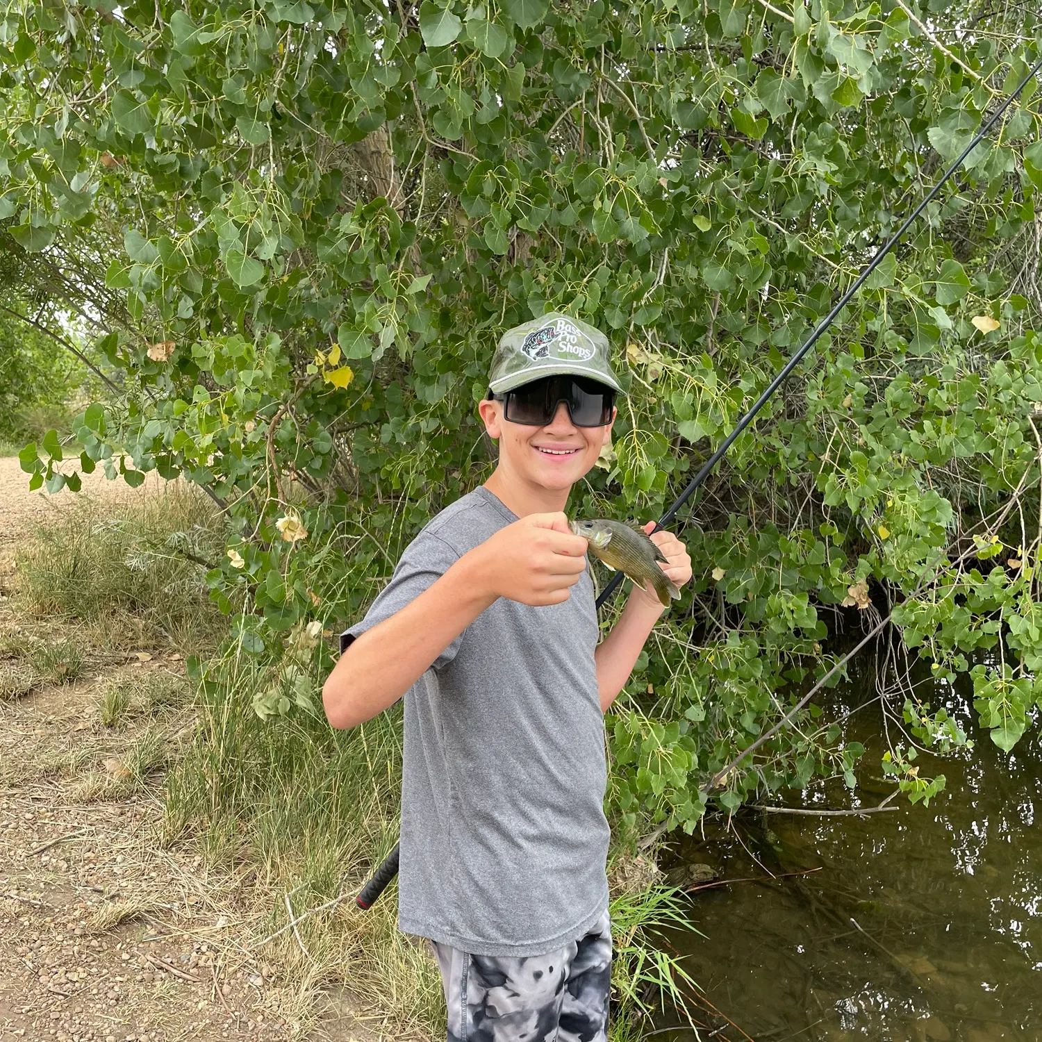 Green sunfish caught on Fishbrain