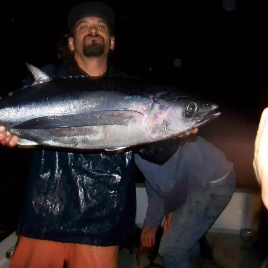 The most recent Pacific bluefin tuna catches on Fishbrain