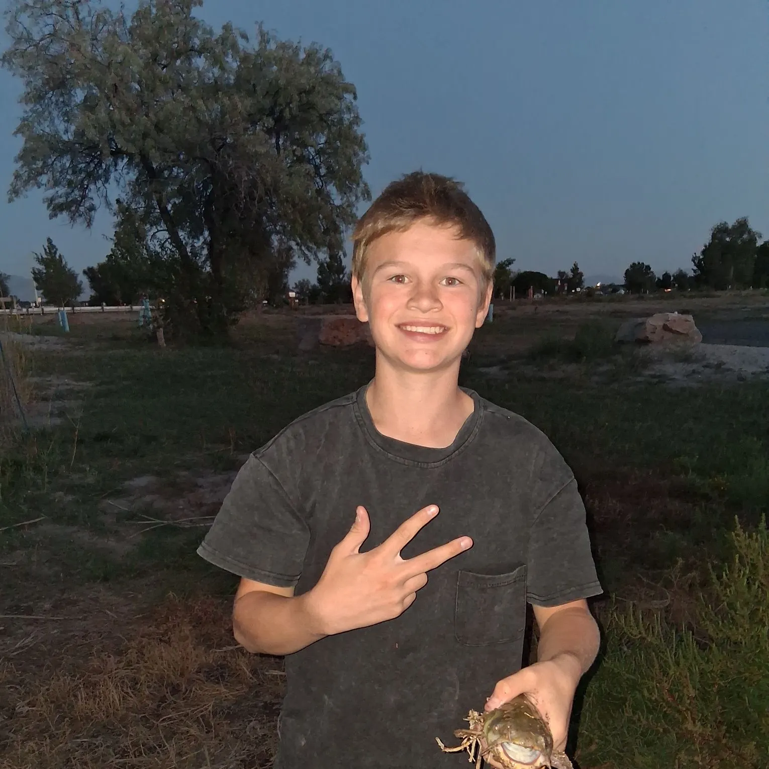 Yellow bullhead caught on Fishbrain