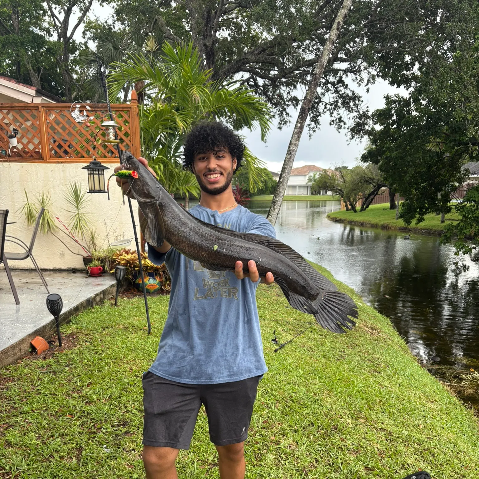 The most recent Bullseye snakehead catches on Fishbrain