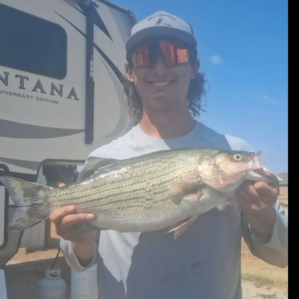 Wiper caught on Fishbrain