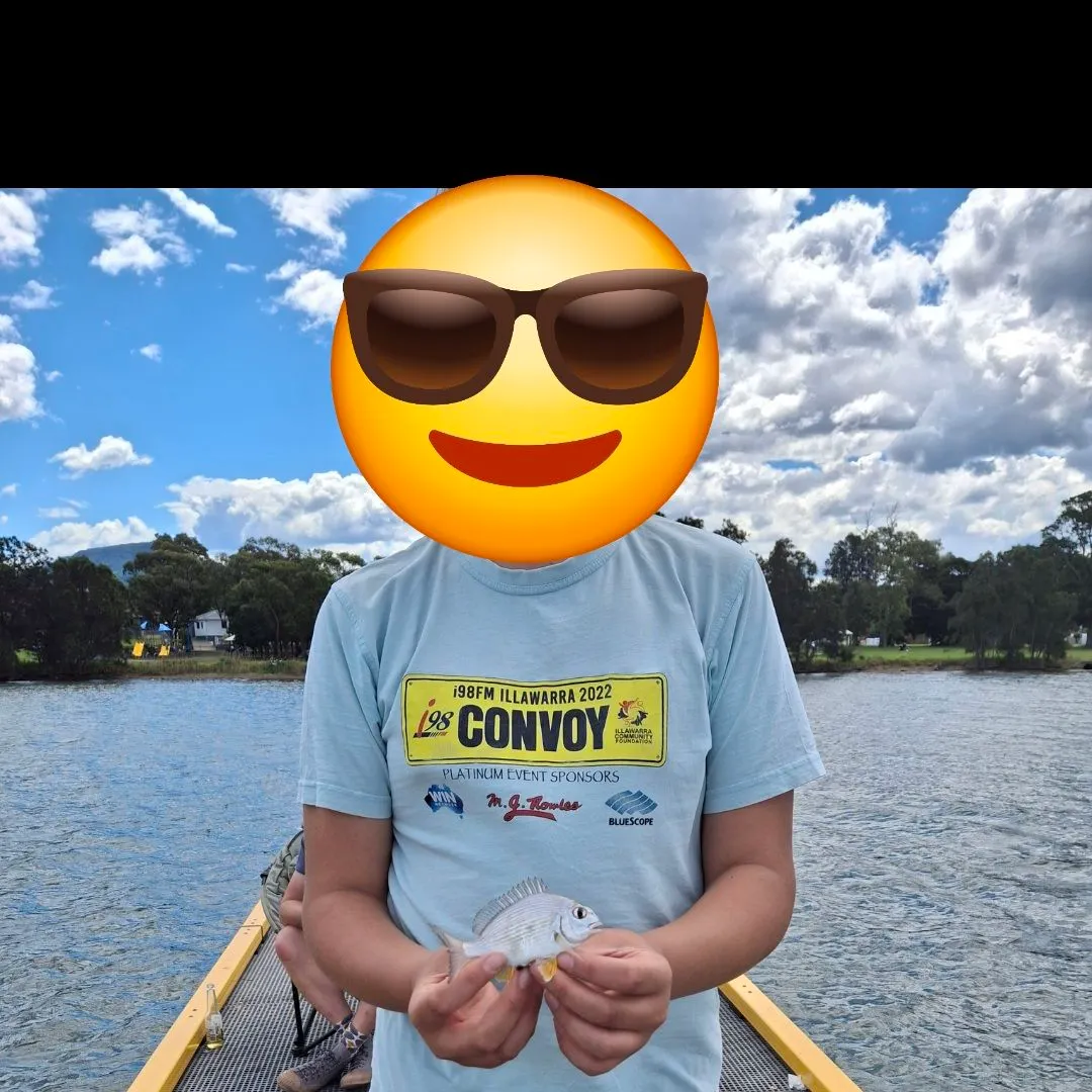 Surf bream caught on Fishbrain