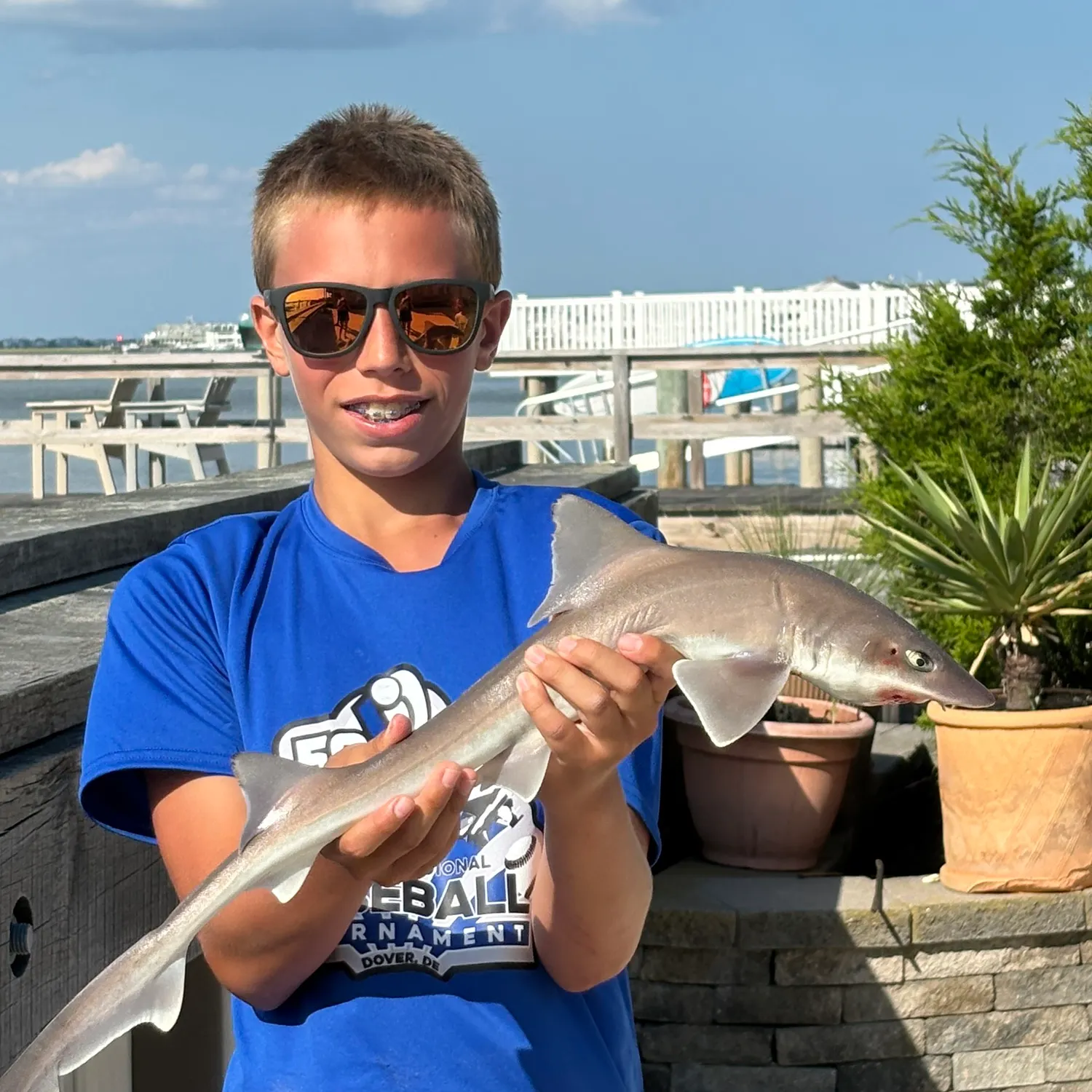 Dusky smooth-hound caught on Fishbrain