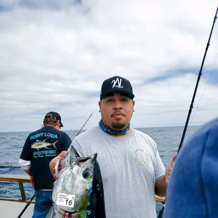 Yellowfin tuna caught on Fishbrain