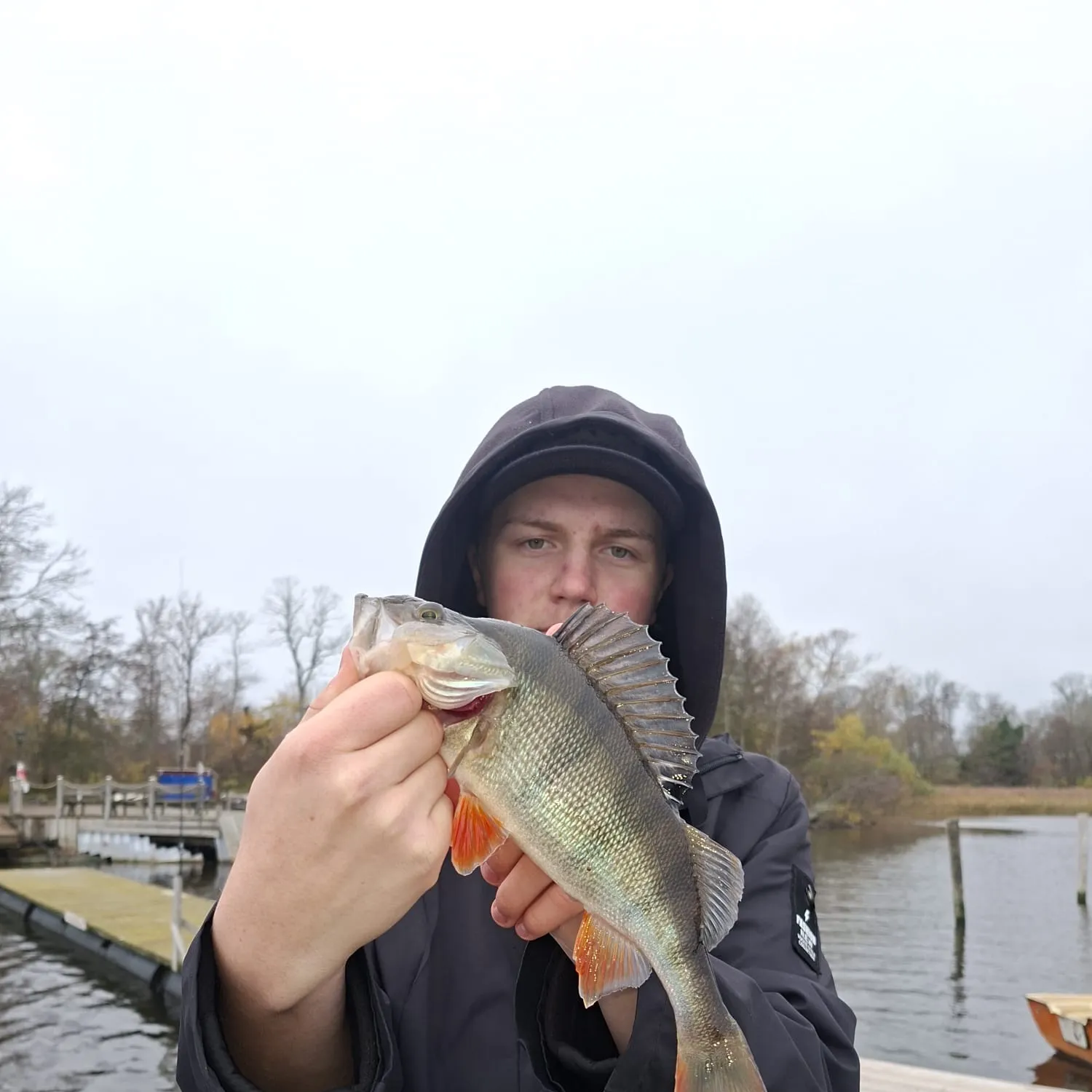 European perch caught on Fishbrain