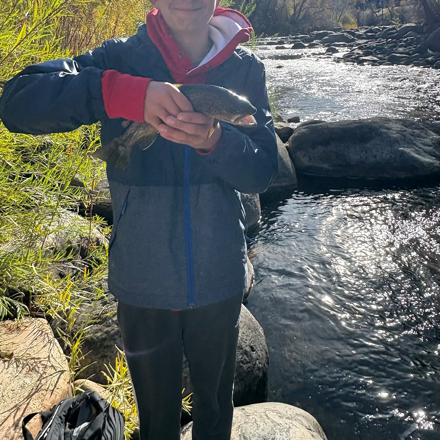 Brown trout caught on Fishbrain