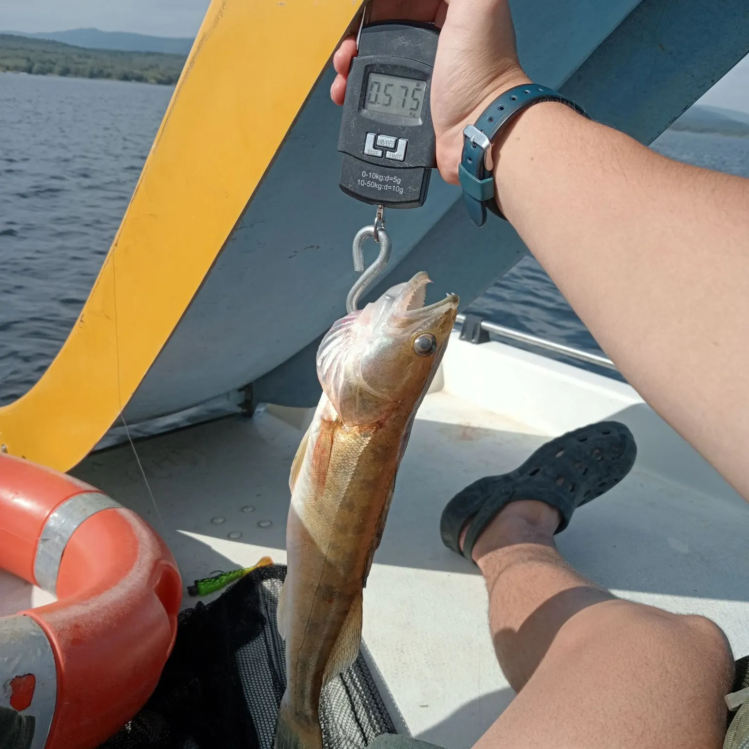 catch