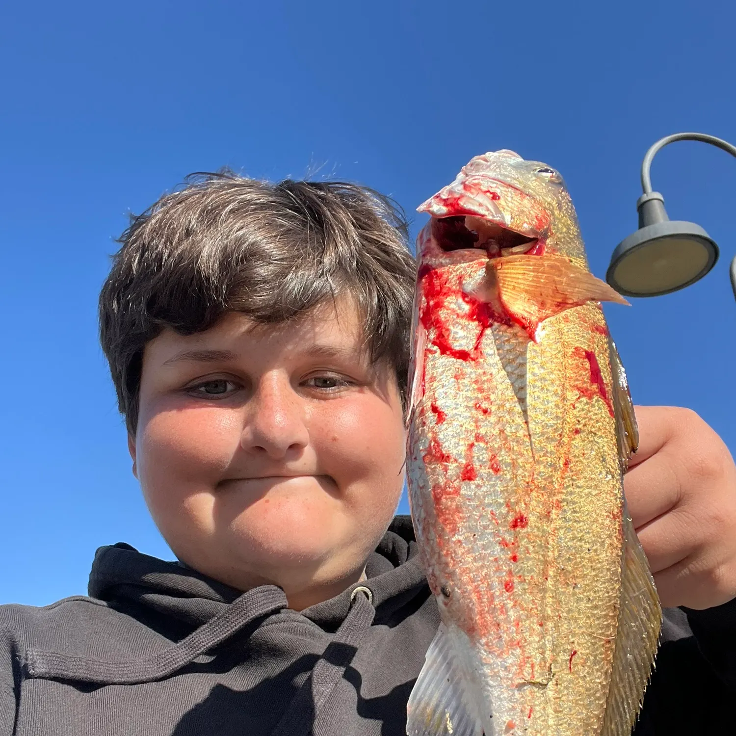 The most recent Yellowfin croaker catches on Fishbrain
