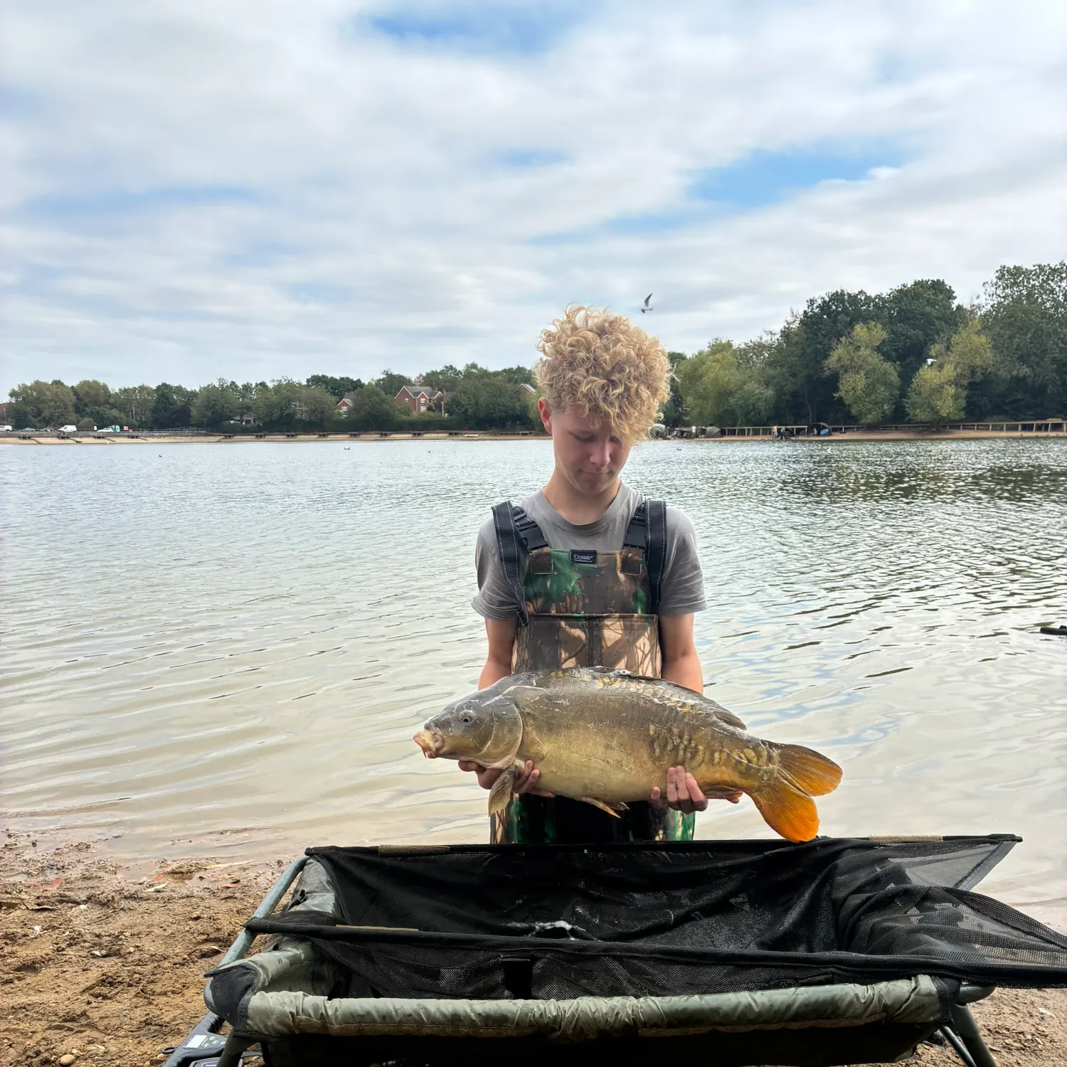 Leather carp caught on Fishbrain