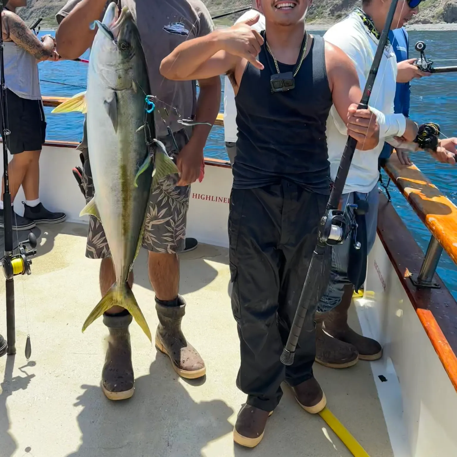 The most recent California yellowtail amberjack catches on Fishbrain